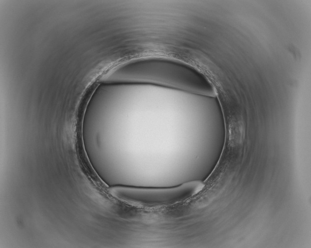 X0000112820436200909041518