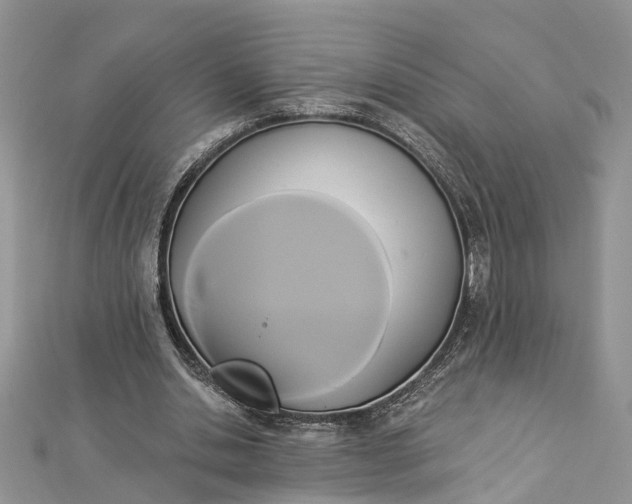 X0000112820438200909041518