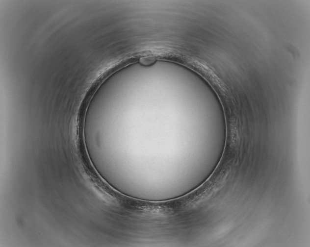 X0000112820439200909041518