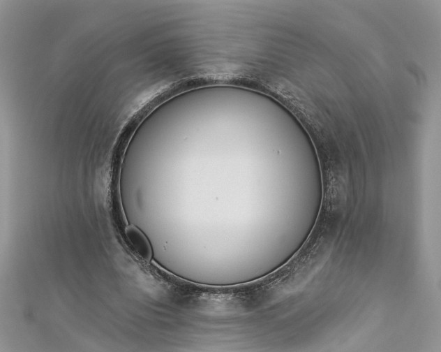 X0000112820440200909041518