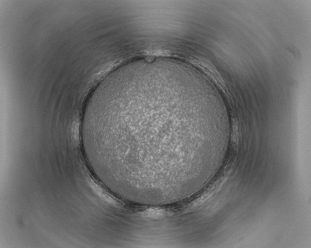 X0000112820441200909041518