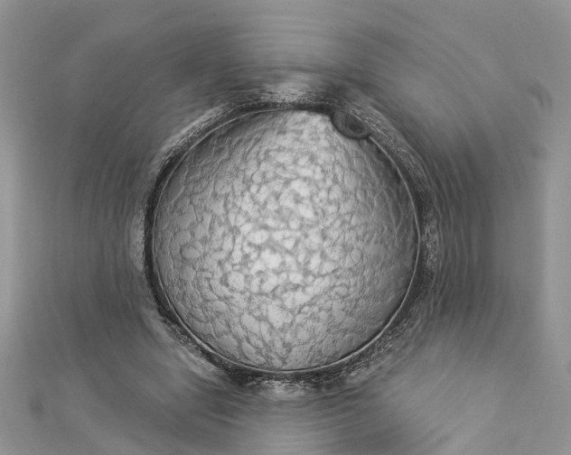 X0000112820442200909041518