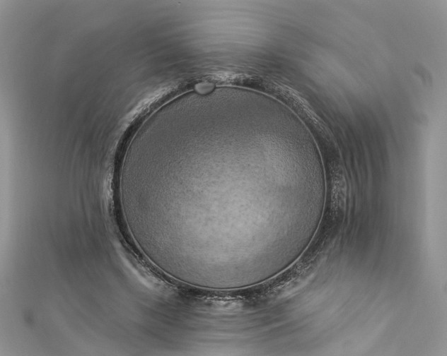 X0000112820443200909041518