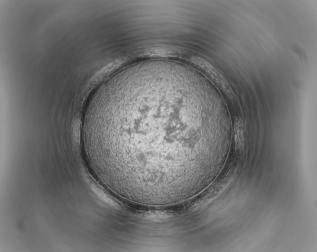 X0000112820445200909041518