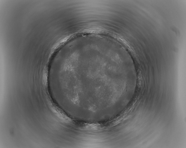 X0000112820446200909041518