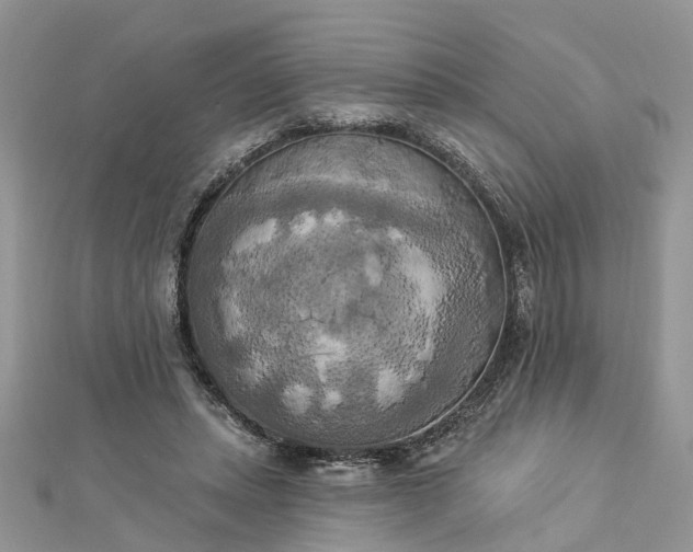 X0000112820447200909041518