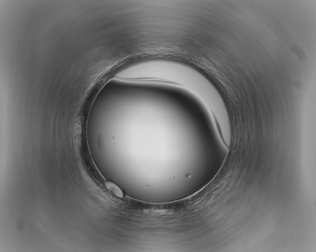 X0000112820448200909041518