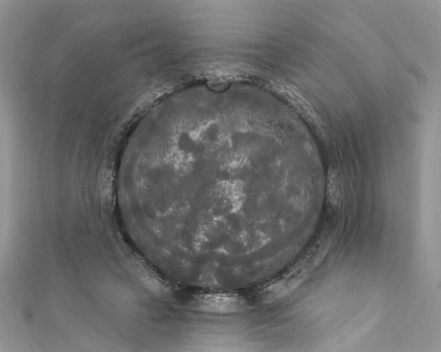 X0000112820449200909041518