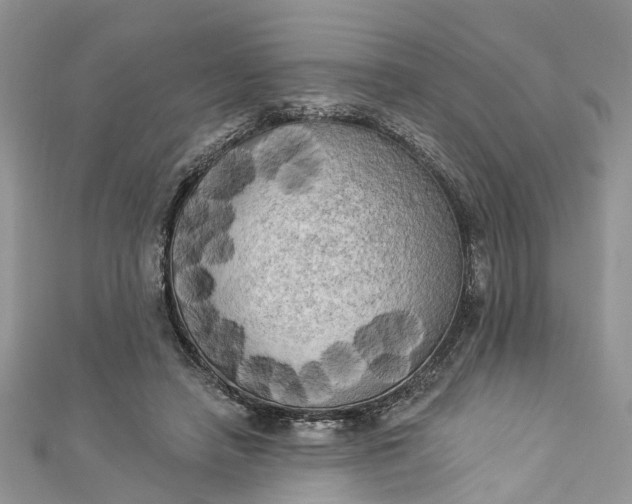 X0000112820450200909041518