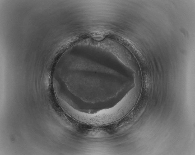 X0000112820451200909041518