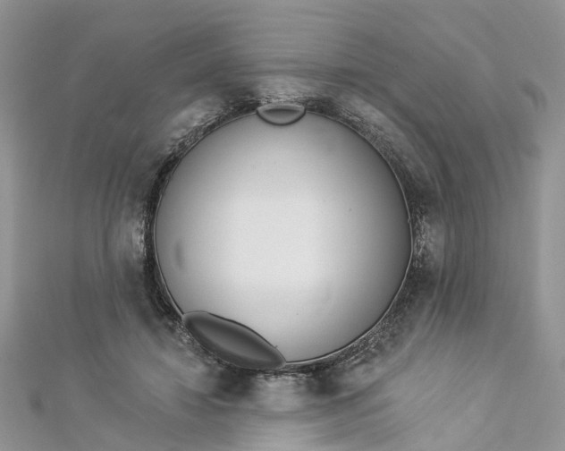 X0000112820452200909041518