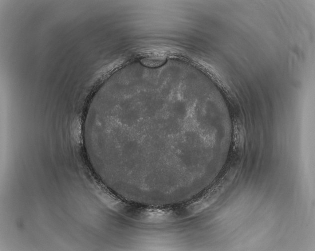 X0000112820453200909041518