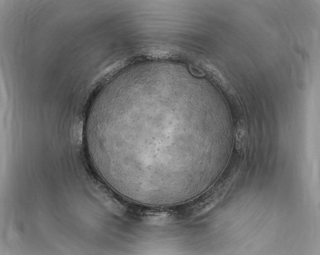 X0000112820454200909041518