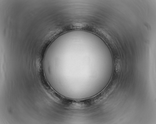 X0000112820455200909041518