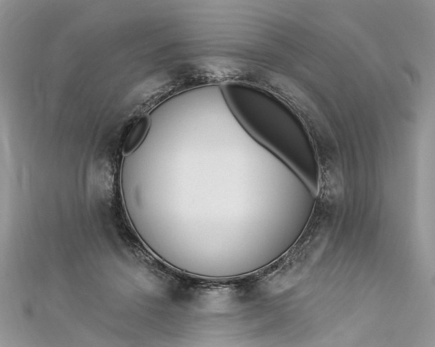 X0000112820456200909041518