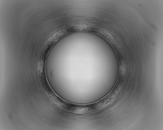 X0000112820458200909041518