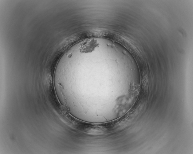 X0000112820459200909041518