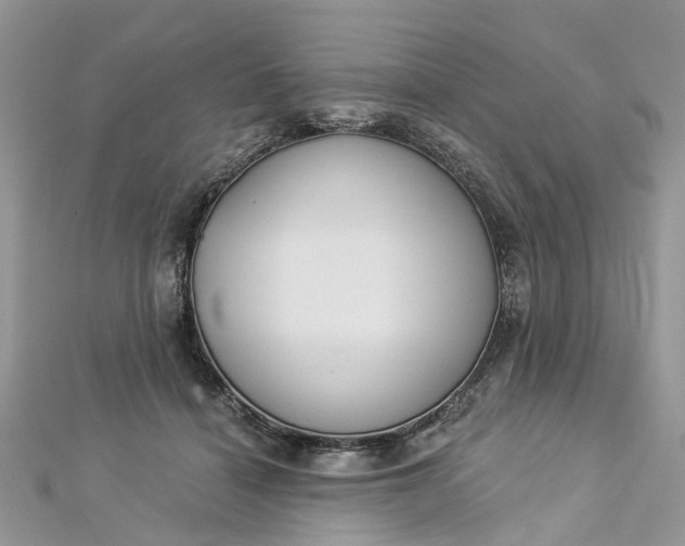 X0000112820460200909041518