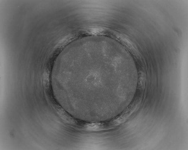 X0000112820461200909041518