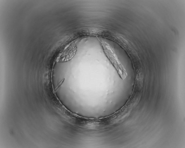 X0000112820462200909041518