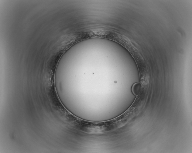 X0000112820464200909041518