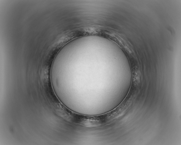 X0000112820466200909041518