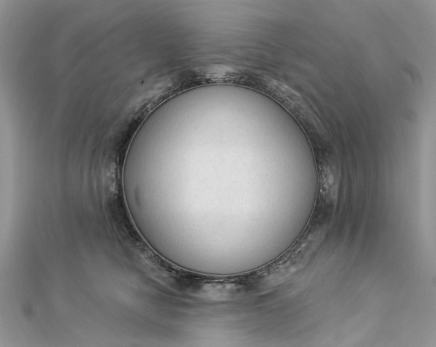 X0000112820470200909041518