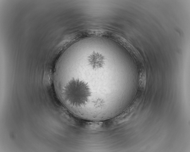 X0000112820474200909041518