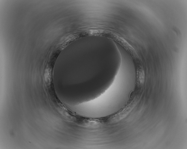 X0000112820475200909041518