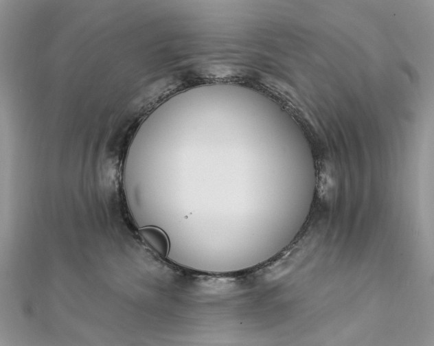 X0000112820476200909041518