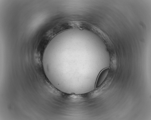 X0000112820477200909041518