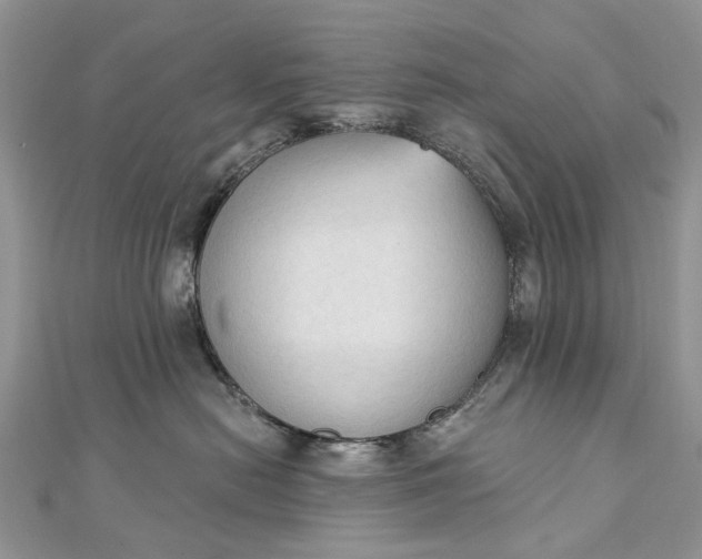 X0000112820478200909041518