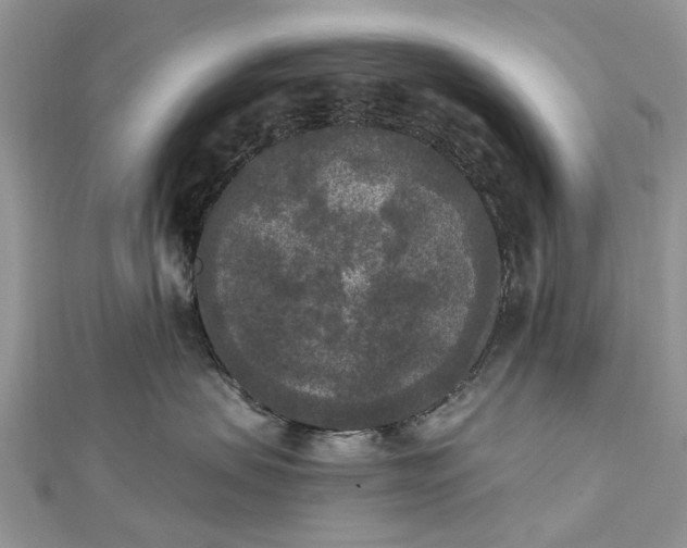 X0000112820479200909041518