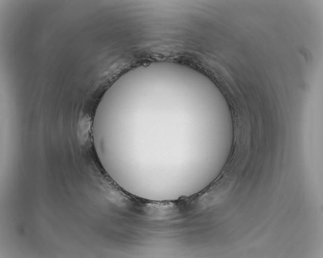 X0000112820480200909041518