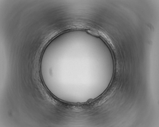 X0000112820481200909041518