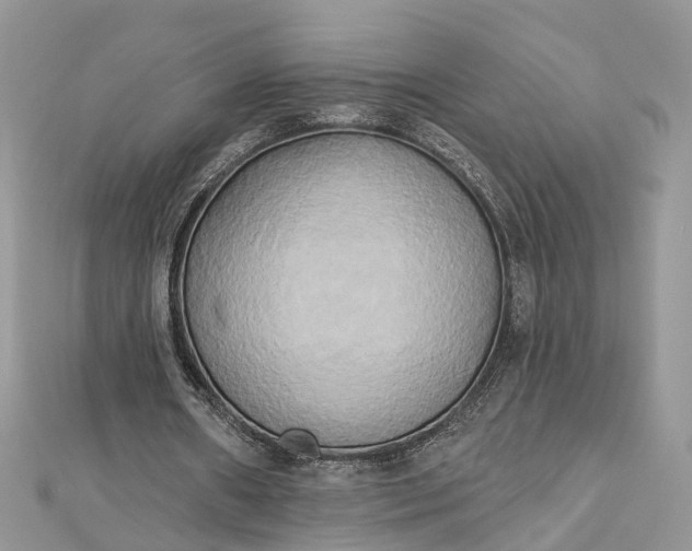 X0000112820482200909041518