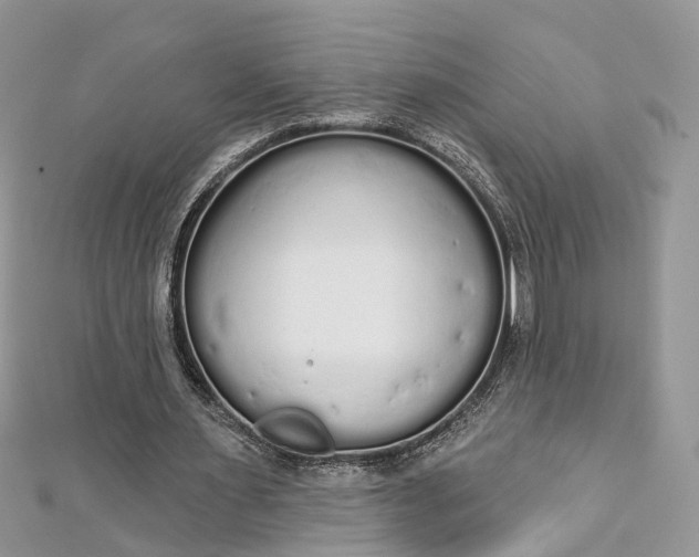 X0000112820483200909041518