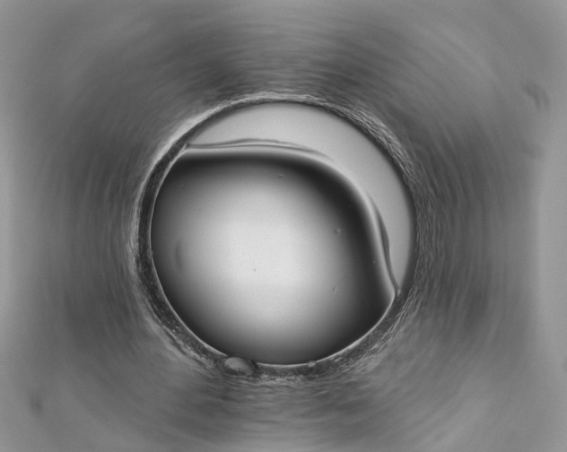 X0000112820484200909041518