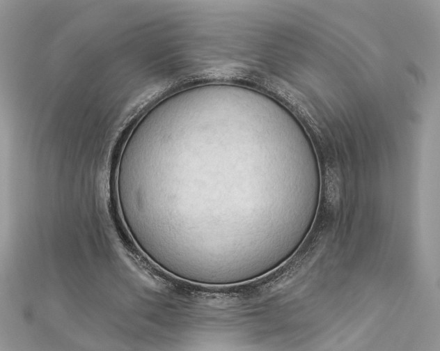 X0000112820486200909041518