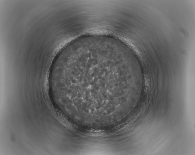 X0000112820487200909041518