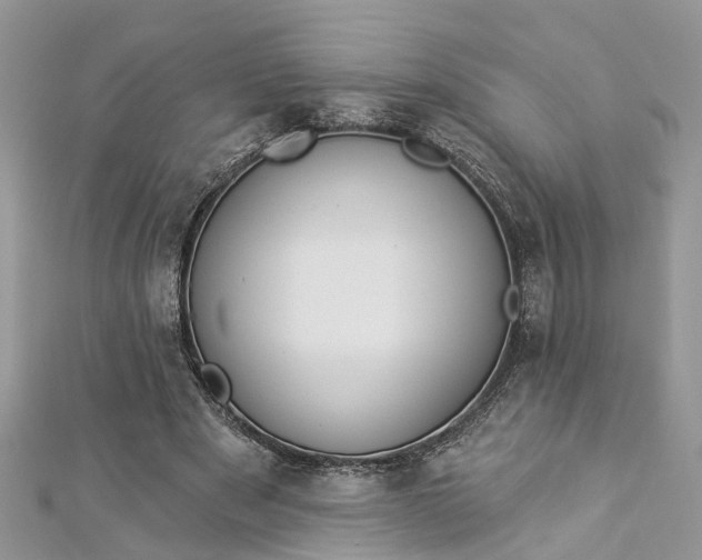 X0000112820489200909041518