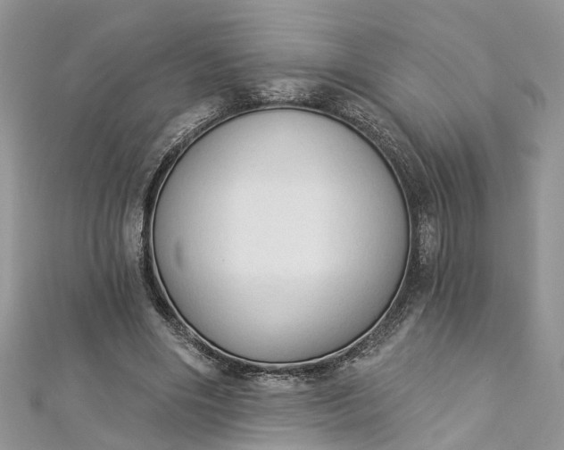 X0000112820490200909041518