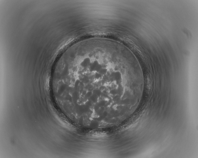 X0000112820491200909041518