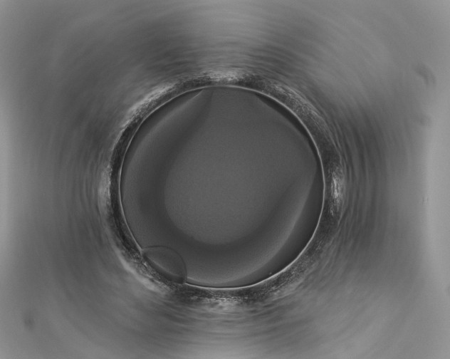 X0000112820492200909041518