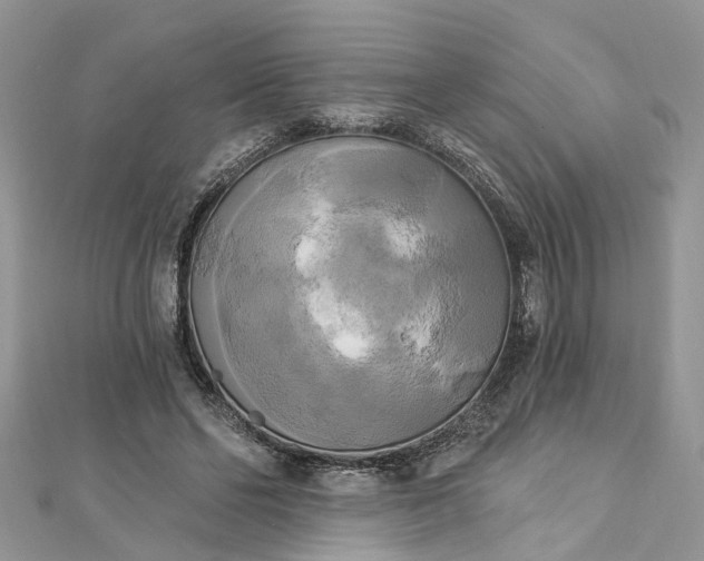 X0000112820494200909041518