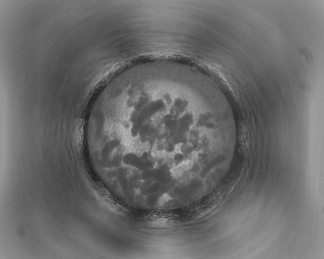 X0000112820495200909041518