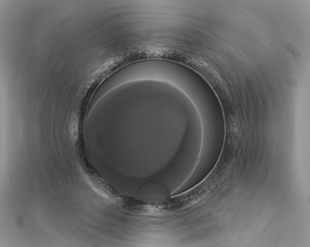 X0000112820496200909041518