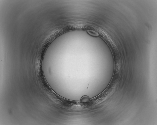 X0000112820497200909041518