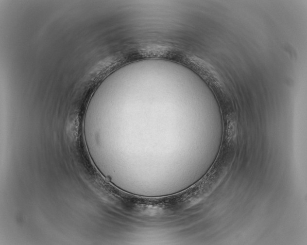 X0000112820498200909041518