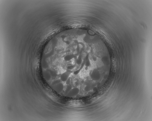 X0000112820499200909041518